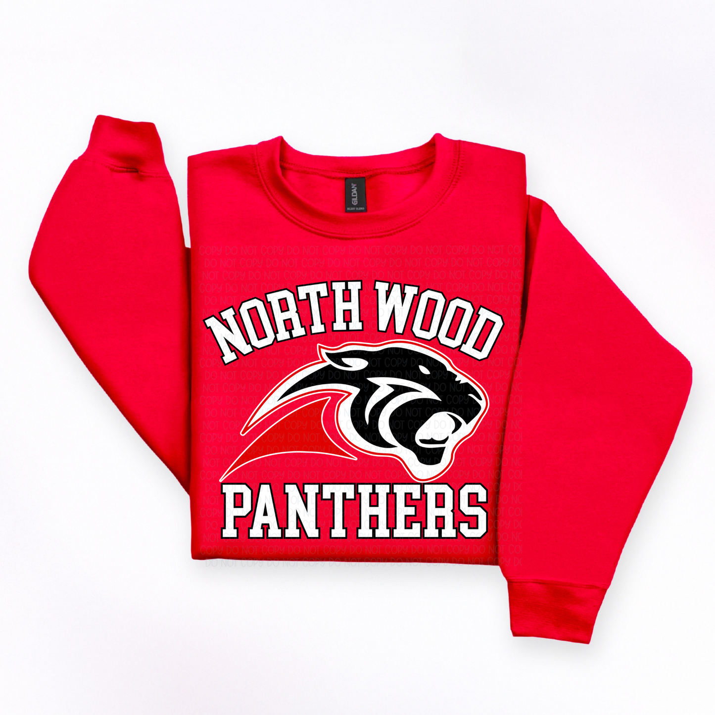 Panther Nation Spirit Wear